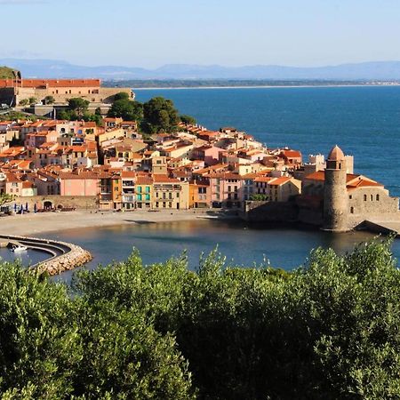 Cosy Nid Douillet Au Coeur Du Centre Ville De Perpignan Kültér fotó