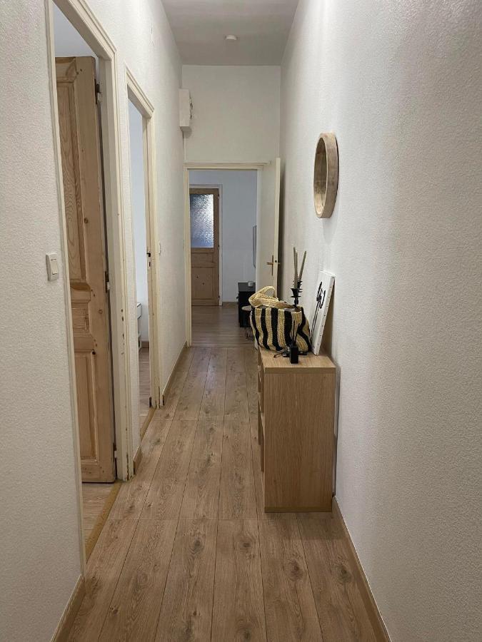 Cosy Nid Douillet Au Coeur Du Centre Ville De Perpignan Kültér fotó